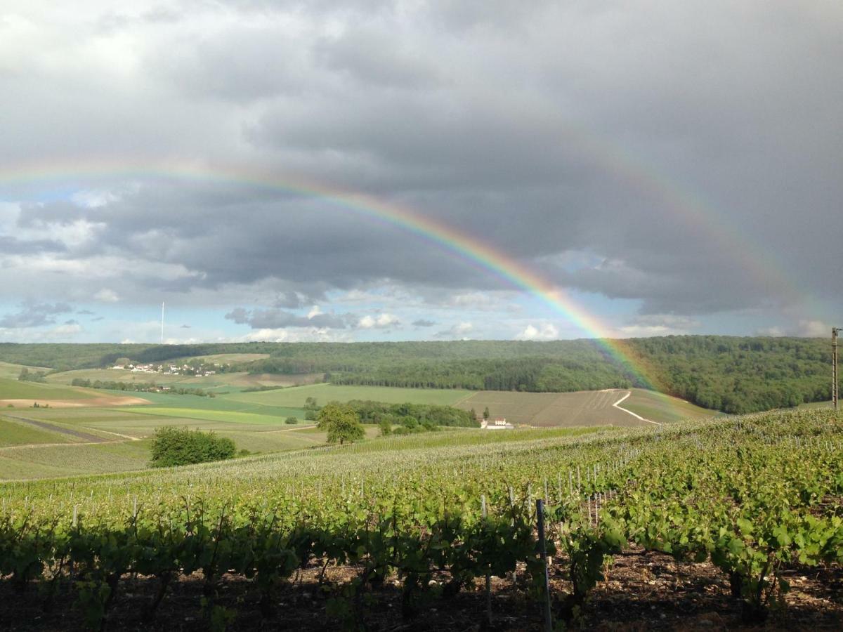 Flor'Ever En Champagne Fleury-la-Riviere المظهر الخارجي الصورة