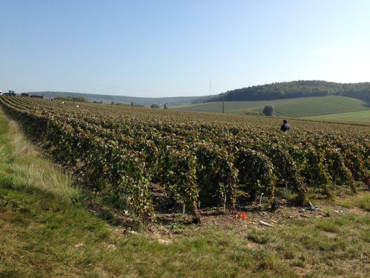 Flor'Ever En Champagne Fleury-la-Riviere المظهر الخارجي الصورة