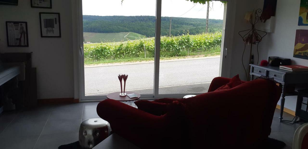 Flor'Ever En Champagne Fleury-la-Riviere المظهر الخارجي الصورة