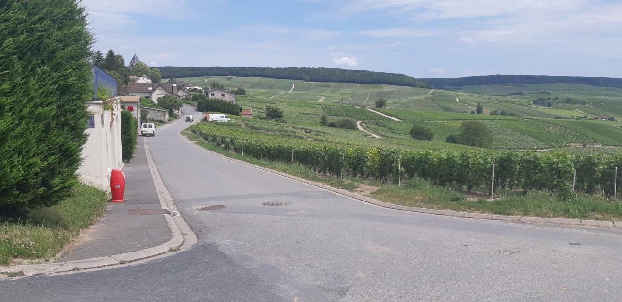 Flor'Ever En Champagne Fleury-la-Riviere المظهر الخارجي الصورة