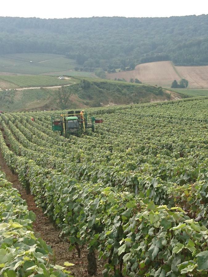 Flor'Ever En Champagne Fleury-la-Riviere المظهر الخارجي الصورة
