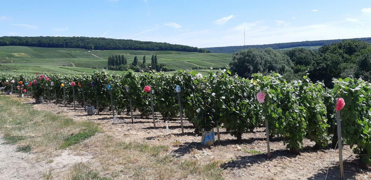 Flor'Ever En Champagne Fleury-la-Riviere المظهر الخارجي الصورة