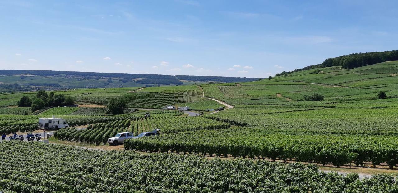 Flor'Ever En Champagne Fleury-la-Riviere المظهر الخارجي الصورة